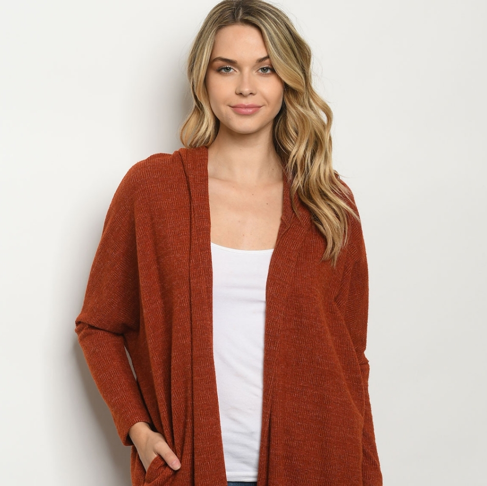 NEW!🔥LAST 3! Hooded Duster Cardigan in Rust
